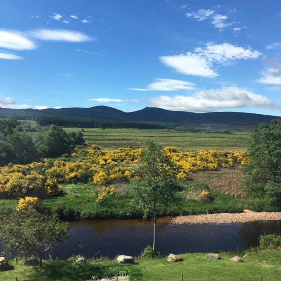 Feughside Guesthouse Banchory Eksteriør billede